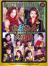 IJZD-02 Sampul DVD