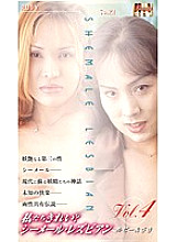 WSL-04 Sampul DVD
