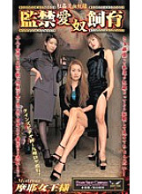 MH-143 Sampul DVD
