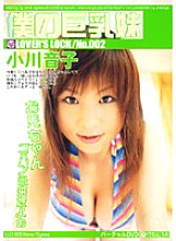 LLD-002 DVD封面图片 