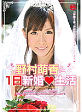NLF-001 DVD Cover
