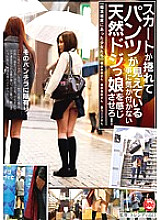 TLS-013 DVD Cover