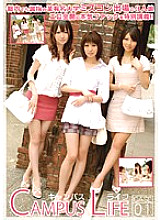YZF-021 DVDカバー画像