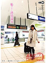 ARM-024 DVD Cover