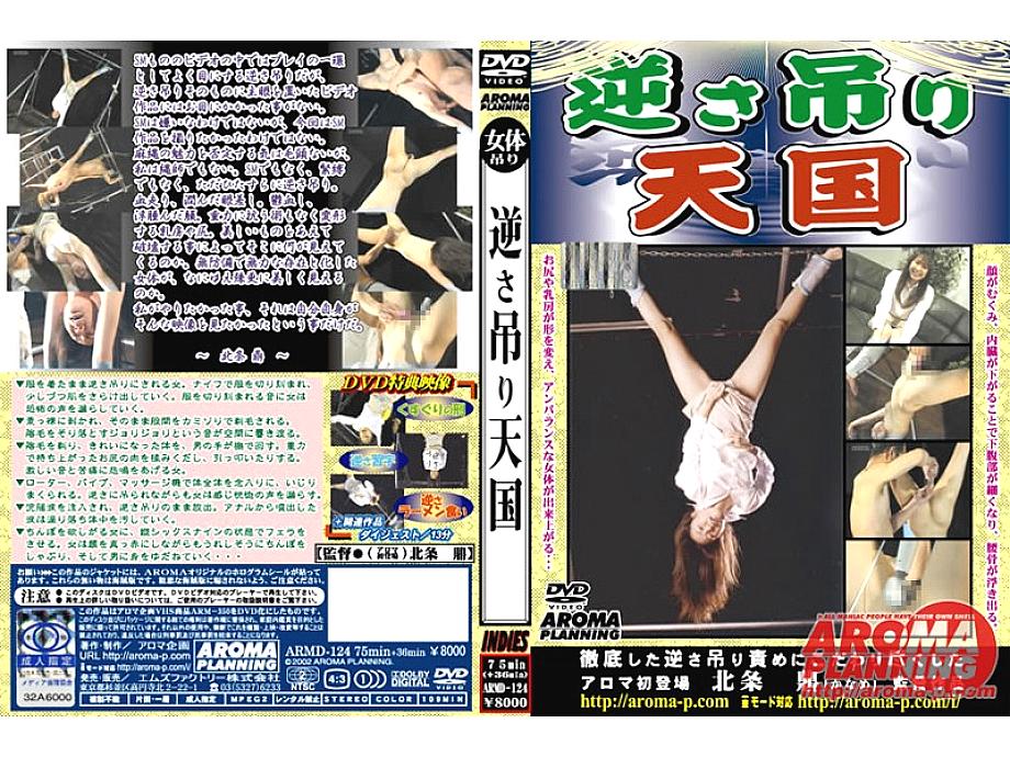 ARM-350 Sampul DVD