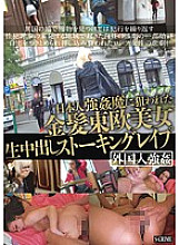 SCR-132 DVD Cover