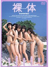 SFLB-031 DVD Cover
