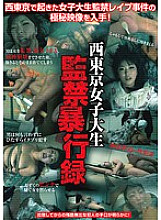 CGQ-009 DVD封面图片 