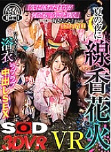 DSVR-302 DVD封面图片 