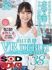 DSVR-352 DVD封面图片 