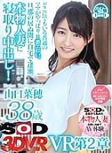 DSVR-362 Sampul DVD