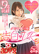 DSVR-397 DVDカバー画像