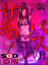 DSVR-549 DVD封面图片 