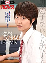 DSVR-607 DVD Cover