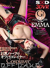 DSVR-01265 DVDカバー画像