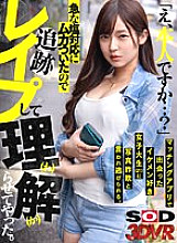 DSVR-01460 DVDカバー画像