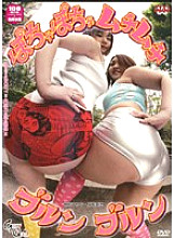 PY-06 Sampul DVD