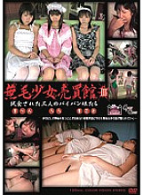 YSMD-03 DVDカバー画像