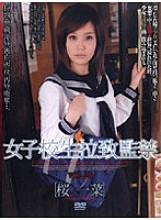 M-484 Sampul DVD
