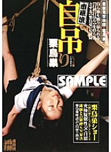 ICHD-13 Sampul DVD