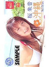 SCA-03 Sampul DVD