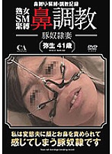 AAA-009 DVD封面图片 