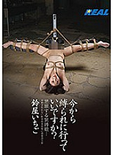 XRW-253 DVD Cover