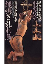 _-1899 Sampul DVD