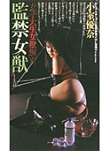 _-1993 Sampul DVD