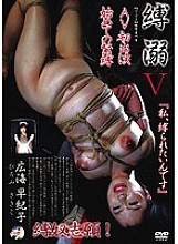 ADV-NSR011 Sampul DVD