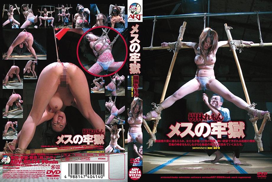 ADV-R0414 DVDカバー画像