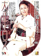 DSE-288 DVDカバー画像