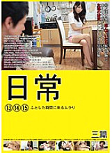 NCHJ-005 DVDカバー画像