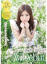 AVOP-126 DVD封面图片 