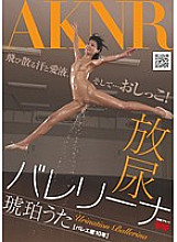 FSET-319 DVDカバー画像