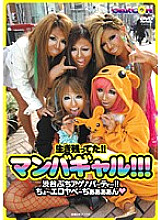 GAR-166 DVDカバー画像