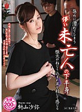 HBAD-260 DVD封面图片 