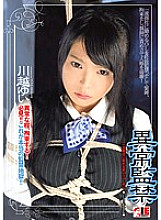 IENE-488 Sampul DVD