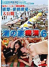 NHDT-528 DVD封面图片 