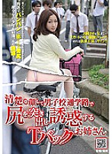 NHDT-988 DVD封面图片 