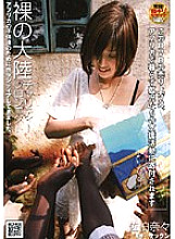 NHDT-704 DVD封面图片 