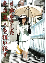 NHDT-728 DVDカバー画像