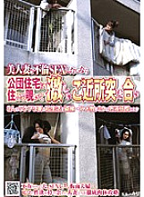 NHDT-740 DVD封面图片 