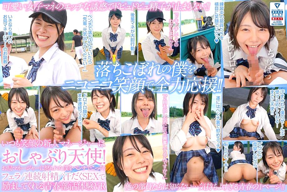NHVR-199 DVDカバー画像