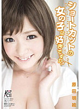 SACE-096 DVD封面图片 