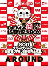 SDDSO-100017 DVD封面图片 