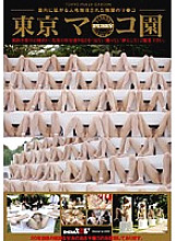 SDMS-869 DVD Cover