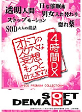 SDMS-449 DVD Cover