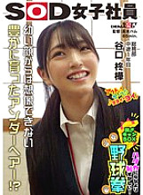 SHYN-214 DVD封面图片 