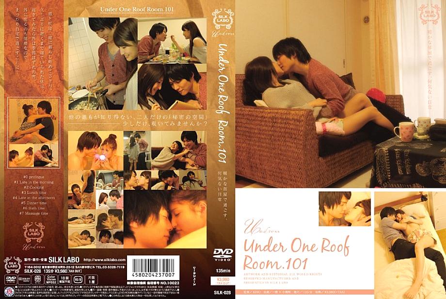 SILK-028 DVDカバー画像